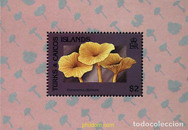 Sellos: 299312 MNH TURKS Y CAICOS 1991 SETAS - Foto 1