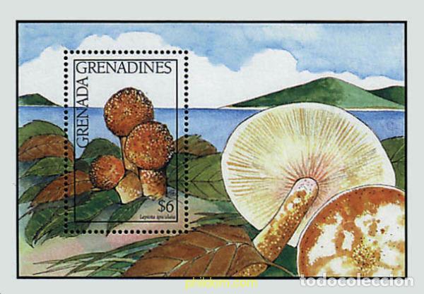 Sellos: 253401 MNH GRANADA GRANADINAS 1991 SETAS - Foto 1