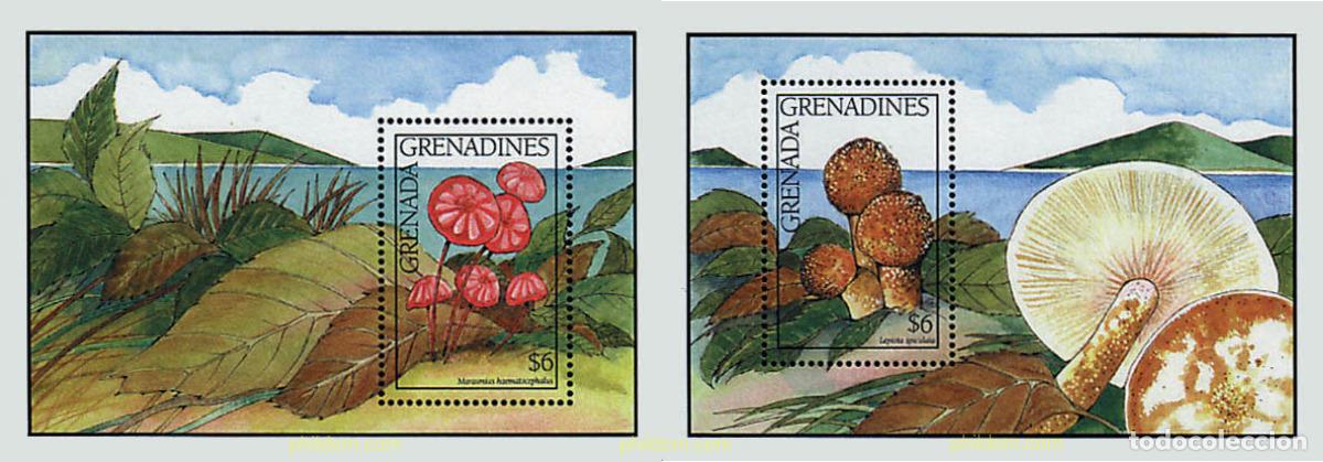 Sellos: 320176 MNH GRANADA GRANADINAS 1991 SETAS - Foto 1
