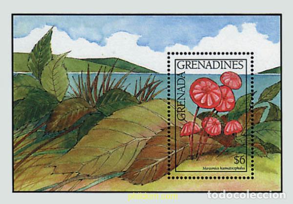 Sellos: 320177 MNH GRANADA GRANADINAS 1991 SETAS - Foto 1