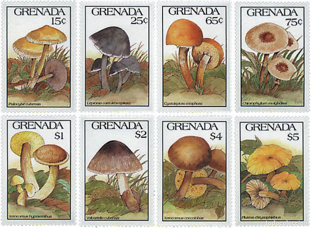 Sellos: 212505 MNH GRANADA 1991 SETAS - Foto 1
