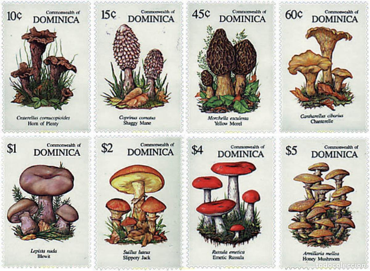 Selos: 37336 MNH DOMINICA 1991 SETAS