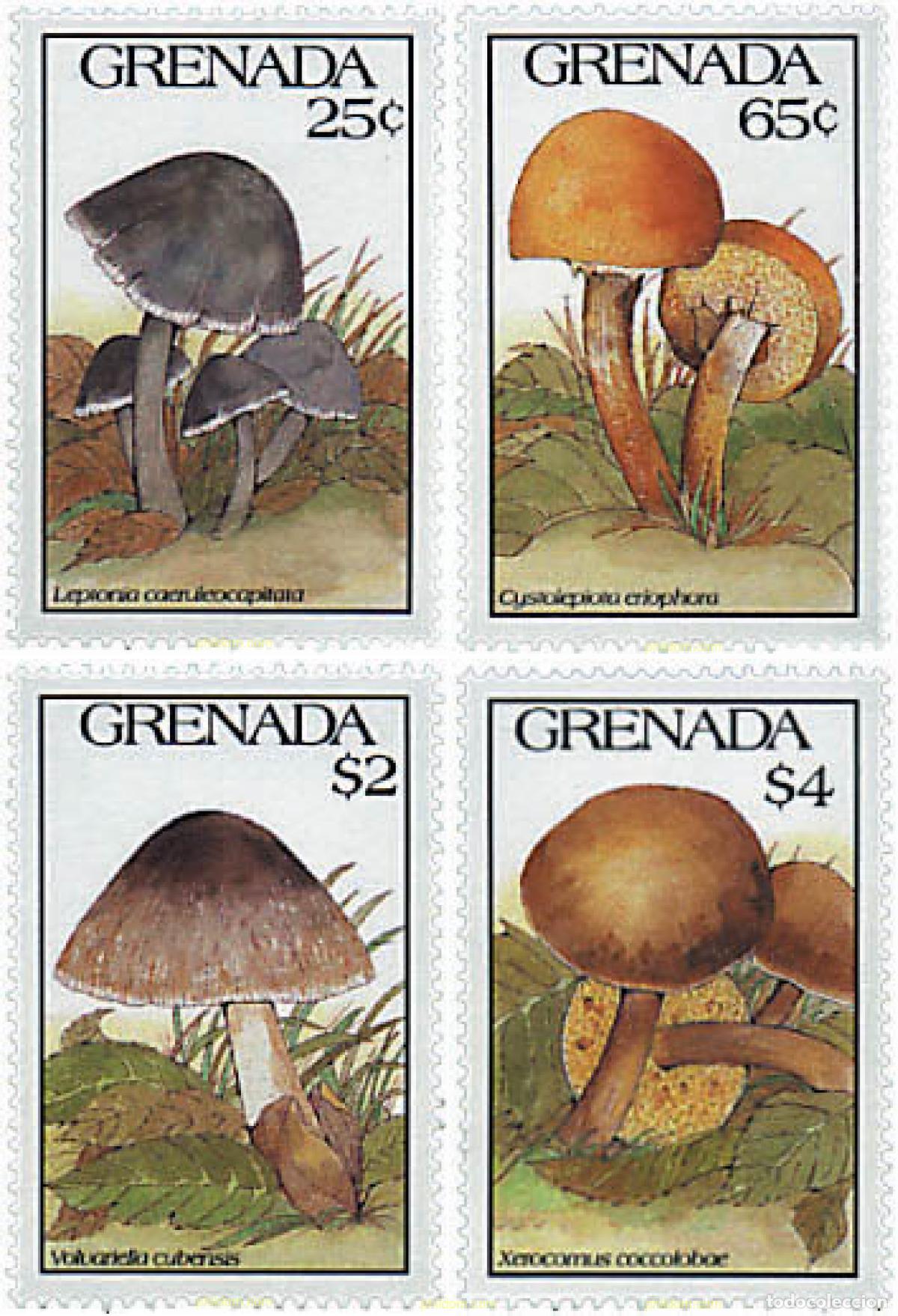 Sellos: 319356 MNH GRANADA 1991 SETAS - Foto 1