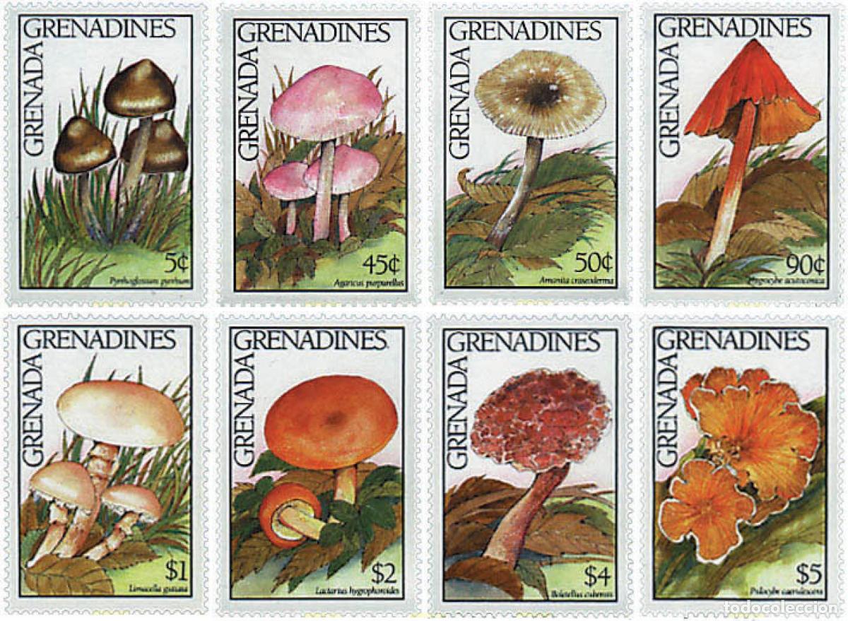 Sellos: 34612 MNH GRANADA GRANADINAS 1991 SETAS - Foto 1