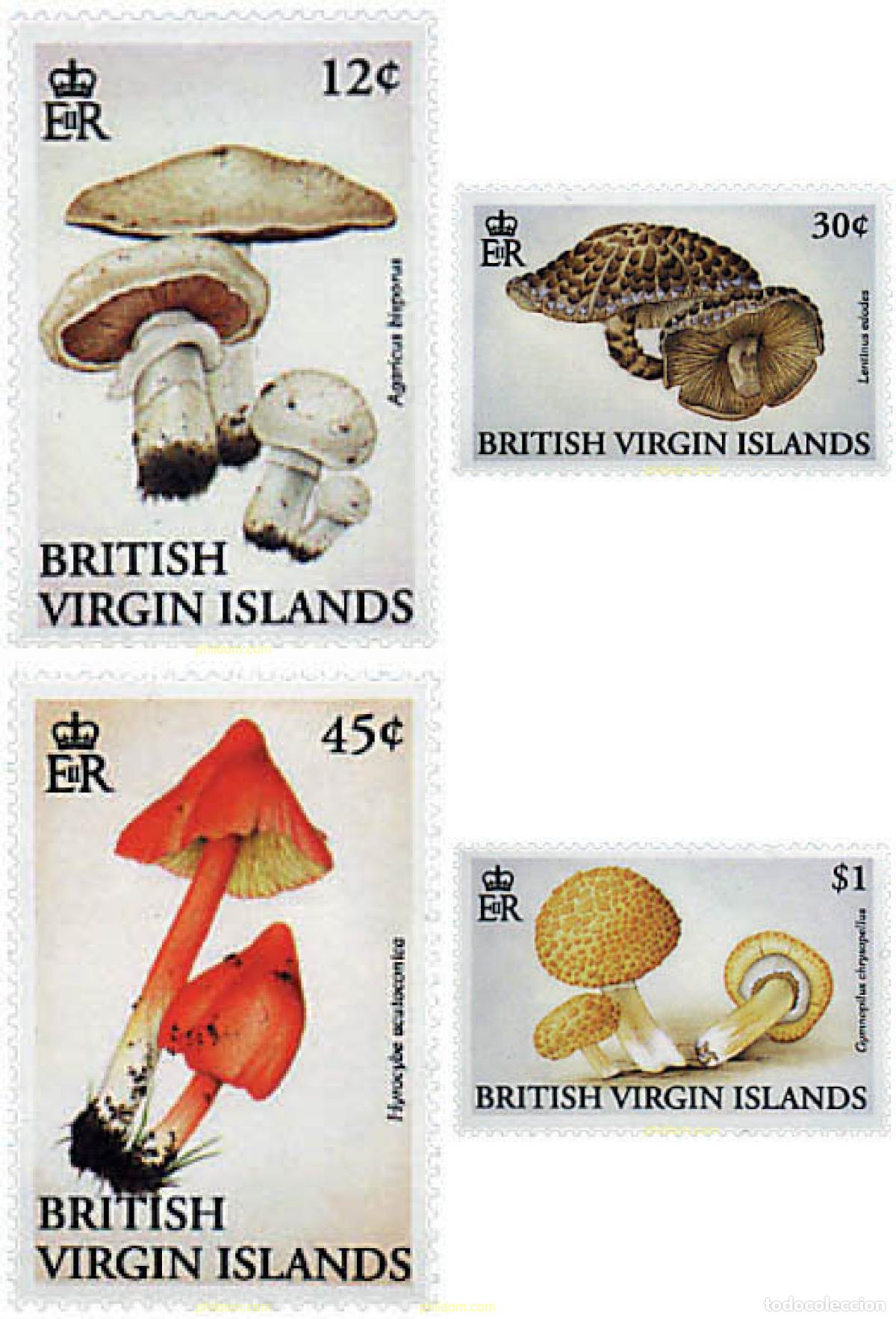 Sellos: 34613 MNH VIRGENES BRITANICAS Islas 1992 SETAS - Foto 1