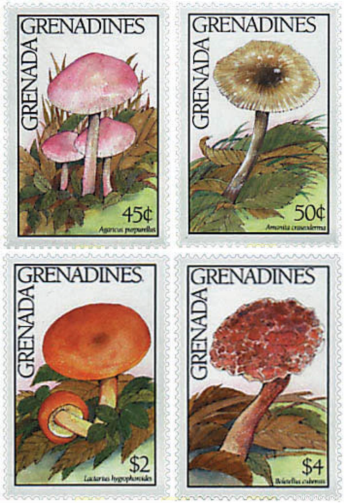 Sellos: 212738 MNH GRANADA GRANADINAS 1991 SETAS - Foto 1