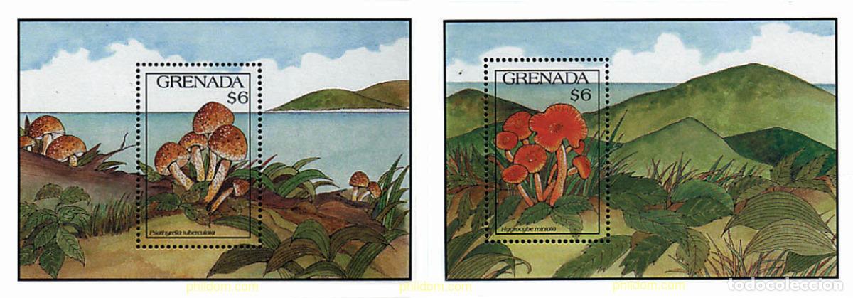 Sellos: 34606 MNH GRANADA 1991 SETAS - Foto 1