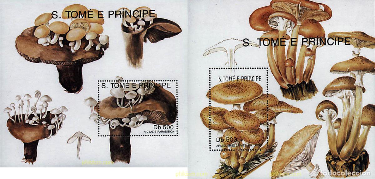 Sellos: 37546 MNH SANTO TOME Y PRINCIPE 1991 SETAS