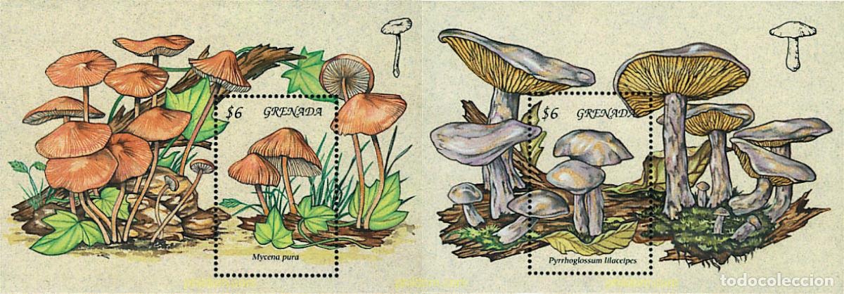 Sellos: 37800 MNH GRANADA 1994 SETAS - Foto 1