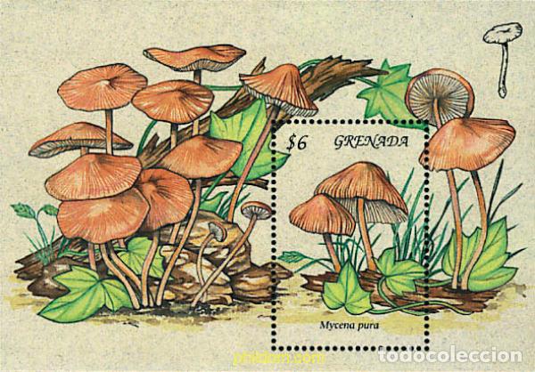 Sellos: 319505 MNH GRANADA 1994 SETAS - Foto 1