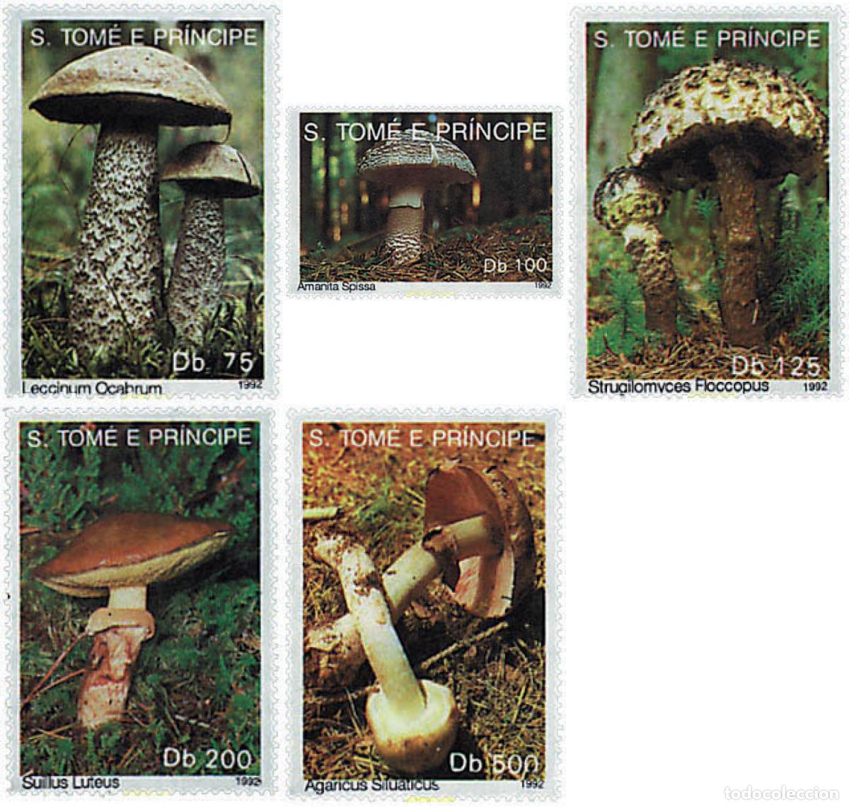 Sellos: 92574 MNH SANTO TOME Y PRINCIPE 1992 SETAS