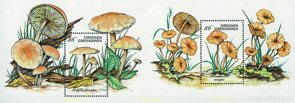 Sellos: 35010 MNH GRANADA GRANADINAS 1994 SETAS - Foto 1