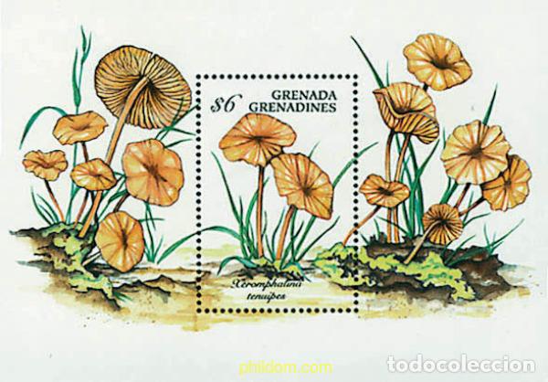 Sellos: 253389 MNH GRANADA GRANADINAS 1994 SETAS - Foto 1