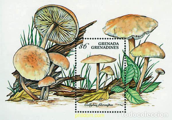 Sellos: 320227 MNH GRANADA GRANADINAS 1994 SETAS - Foto 1
