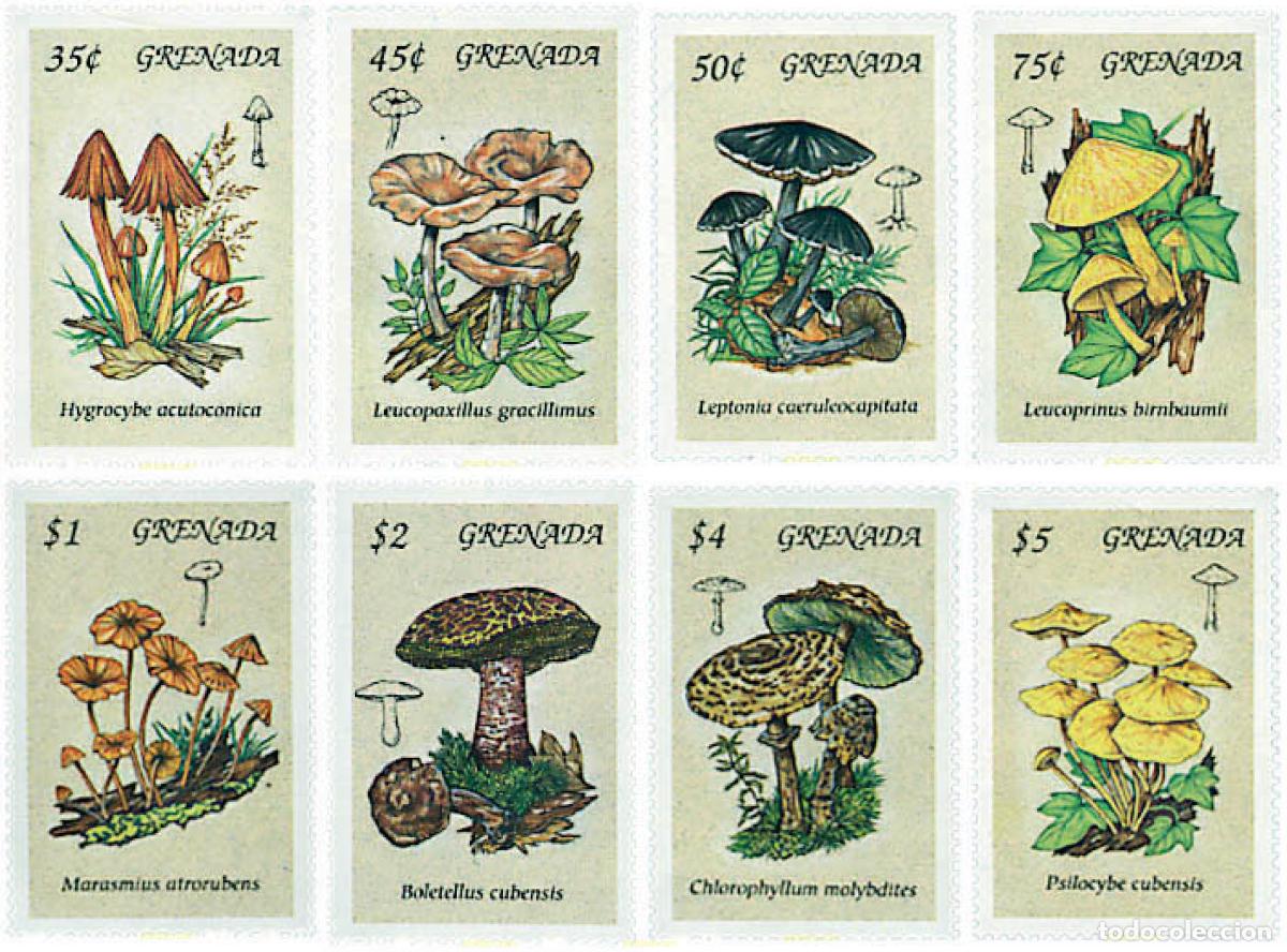 Sellos: 34913 MNH GRANADA 1994 SETAS - Foto 1