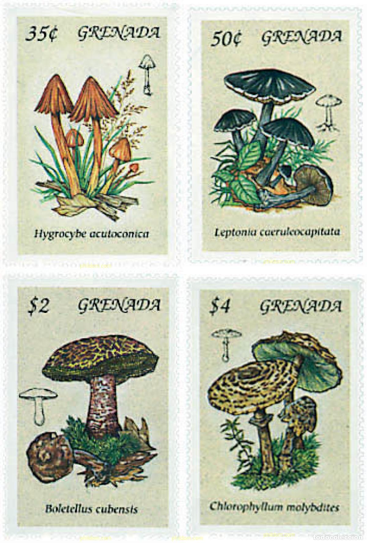 Sellos: 319504 MNH GRANADA 1994 SETAS - Foto 1