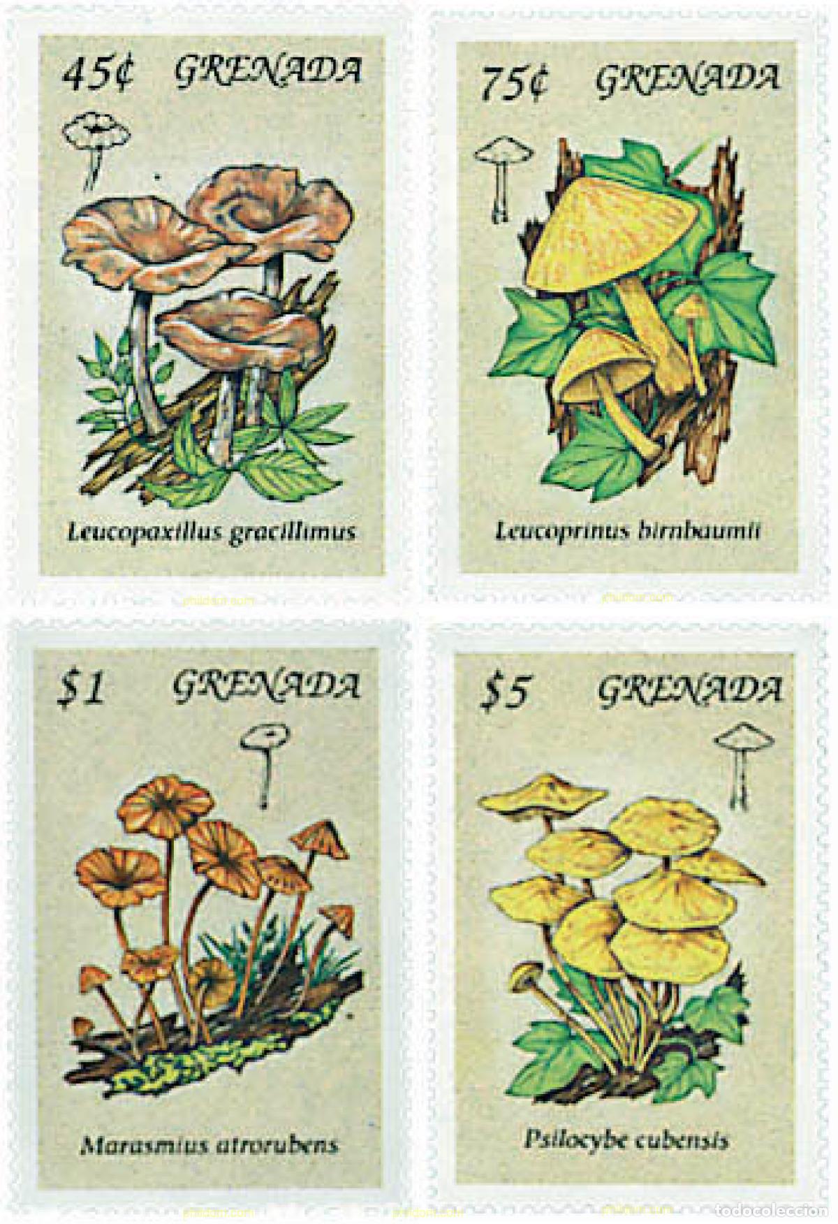 Sellos: 319507 MNH GRANADA 1994 SETAS - Foto 1