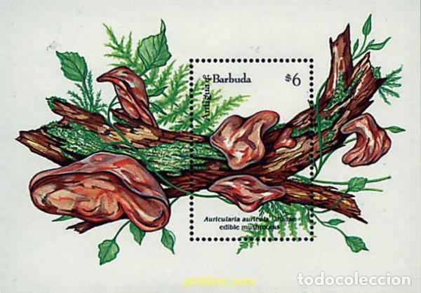 Briefmarken: 203402 MNH ANTIGUA Y BARBUDA 1992 SETAS COMESTIBLES