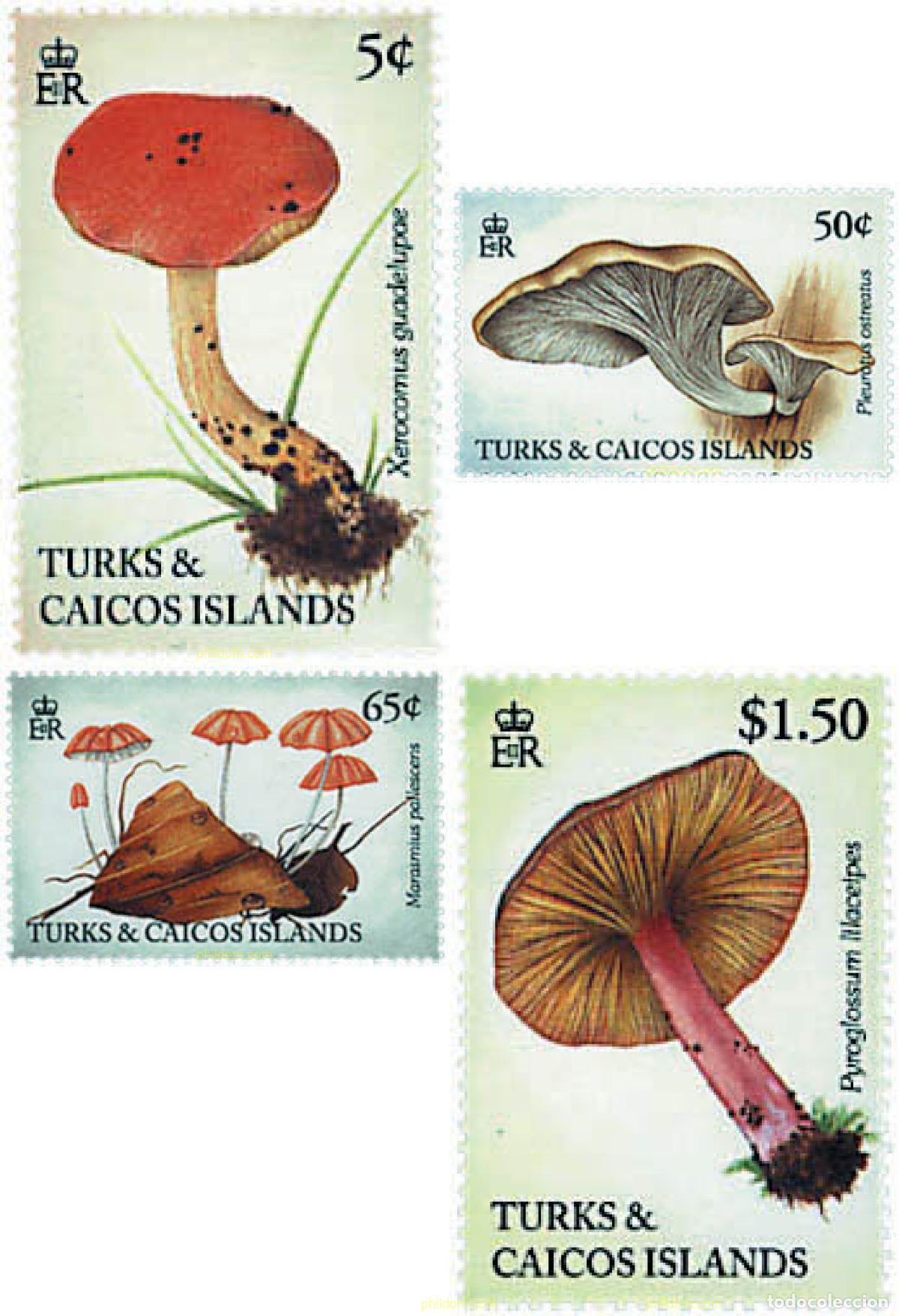Sellos: 591825 MNH TURKS Y CAICOS 1994 SETAS - Foto 1
