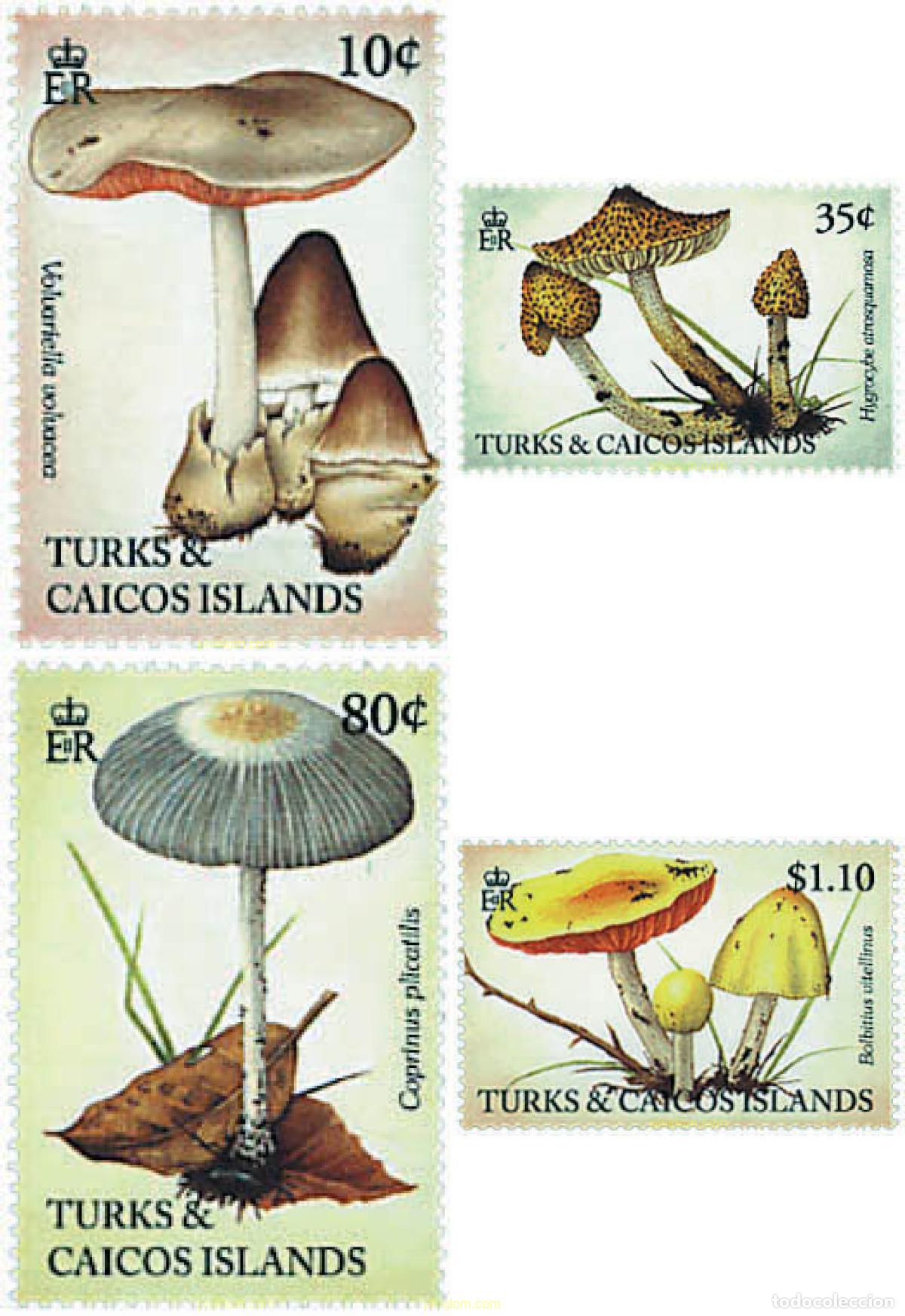 Sellos: 591826 MNH TURKS Y CAICOS 1994 SETAS - Foto 1