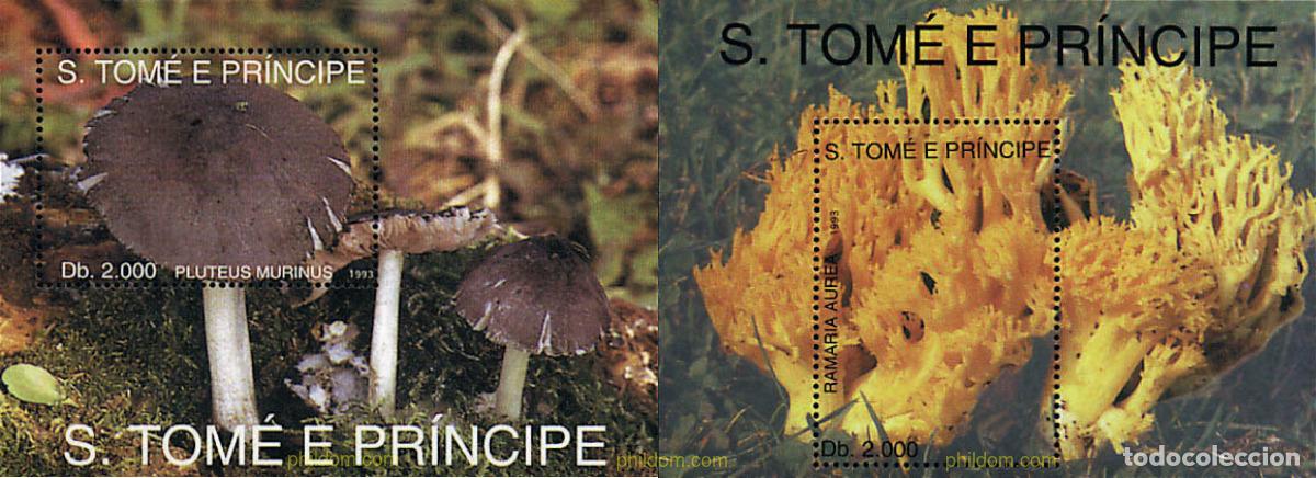 Briefmarken: 37540 MNH SANTO TOME Y PRINCIPE 1993 SETAS