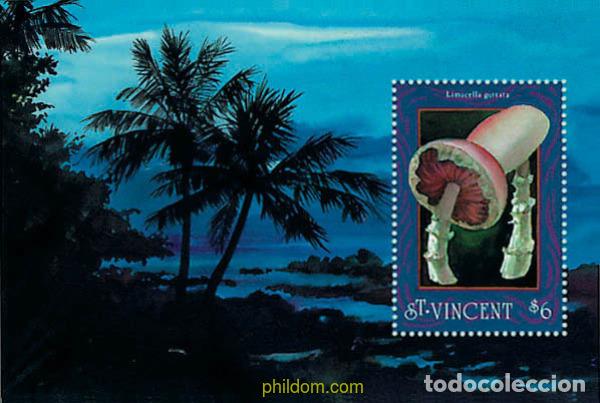 Sellos: 360347 MNH SAN VICENTE 1992 SETAS