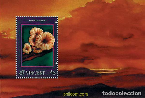 Sellos: 360370 MNH SAN VICENTE 1992 SETAS