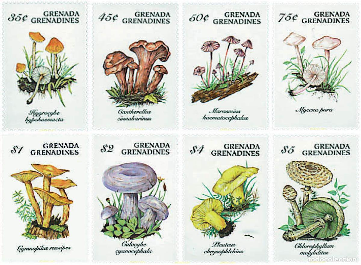 Sellos: 36224 MNH GRANADA GRANADINAS 1994 SETAS - Foto 1