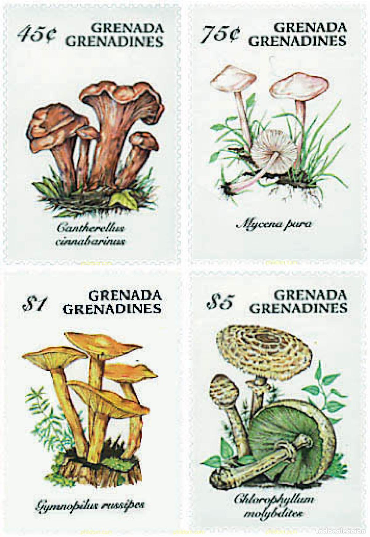 Sellos: 253388 MNH GRANADA GRANADINAS 1994 SETAS - Foto 1