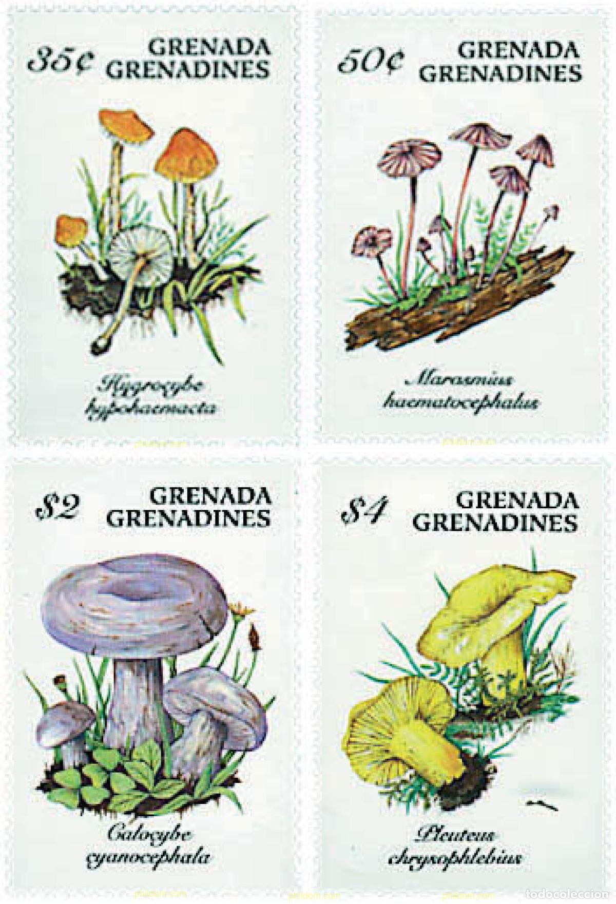 Sellos: 320226 MNH GRANADA GRANADINAS 1994 SETAS - Foto 1