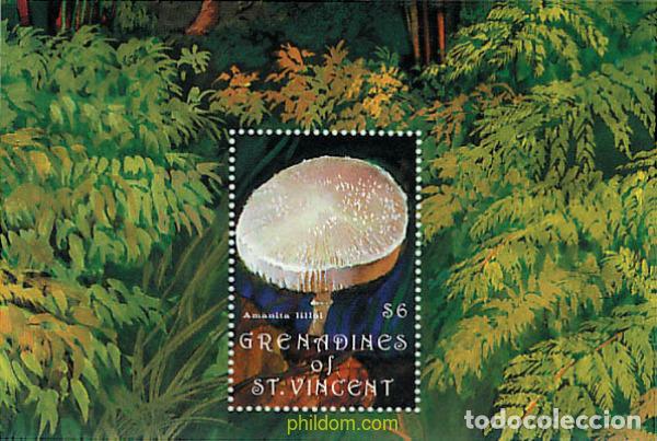 Sellos: 320484 MNH SAN VICENTE GRANADINAS 1992 SETAS