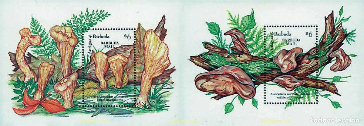 Sellos: 47361 MNH BARBUDA 1993 SETAS - Foto 1