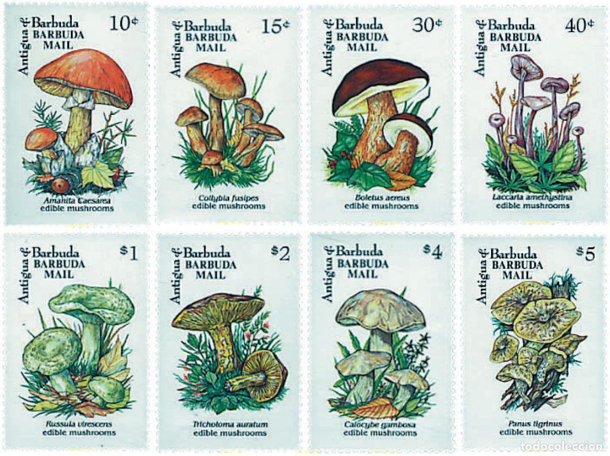 Sellos: 37505 MNH BARBUDA 1993 SETAS - Foto 1