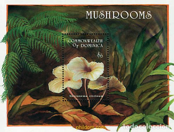 Sellos: 306863 MNH DOMINICA 1994 SETAS - Foto 1