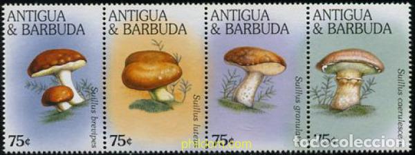 Sellos: 5848 MNH ANTIGUA Y BARBUDA 1996 SETAS - Foto 1