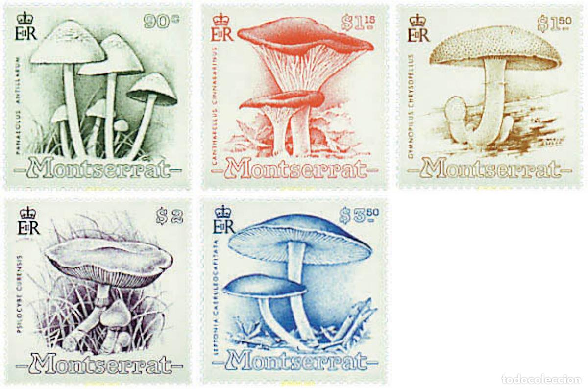Sellos: 34615 MNH MONTSERRAT 1991 SETAS - Foto 1