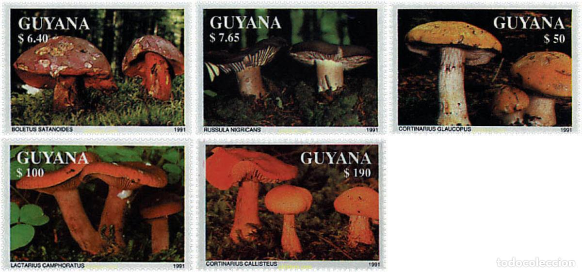 Sellos: 37453 MNH GUYANA 1991 SETAS - Foto 1