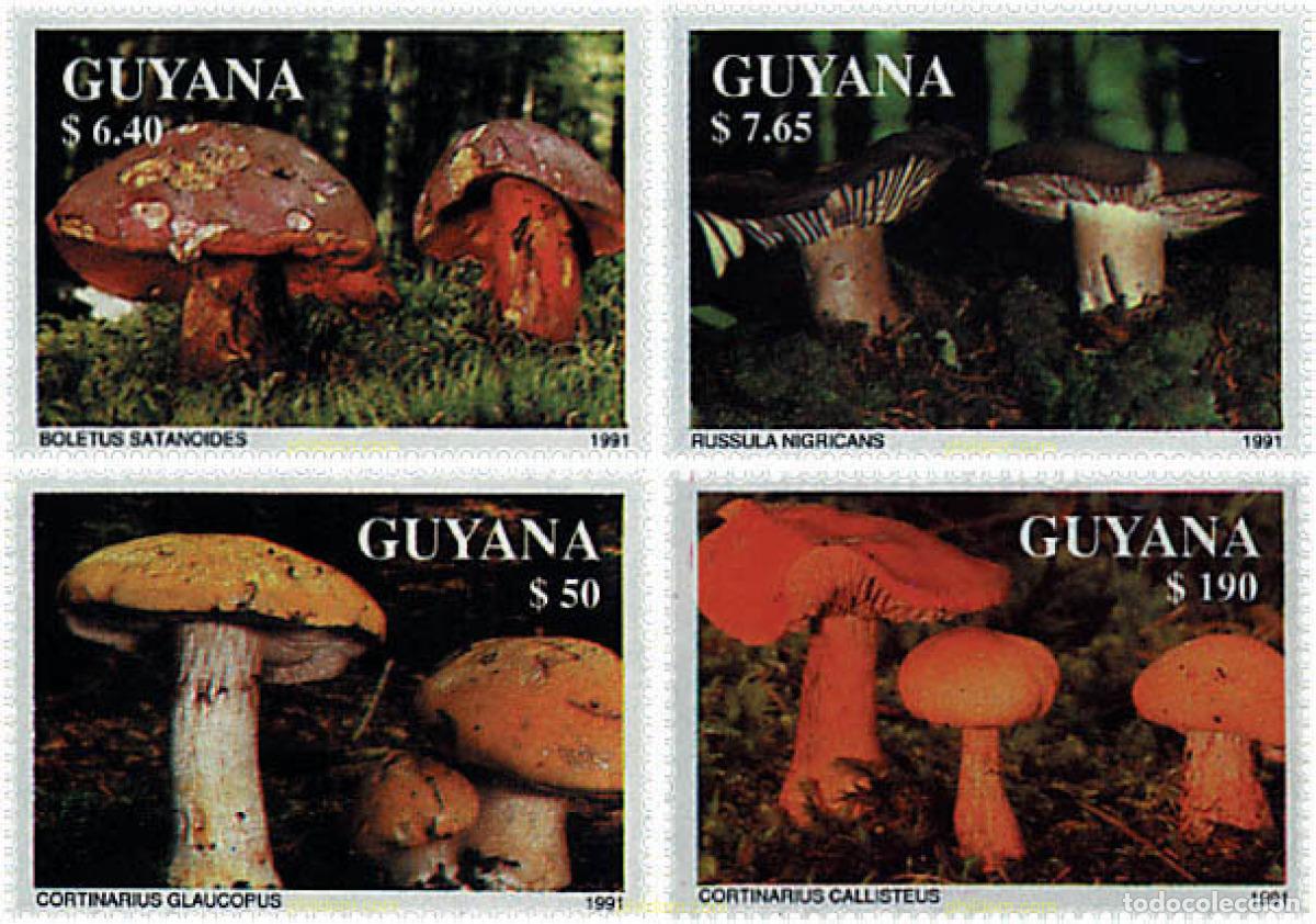 Sellos: 354156 MNH GUYANA 1991 SETAS - Foto 1