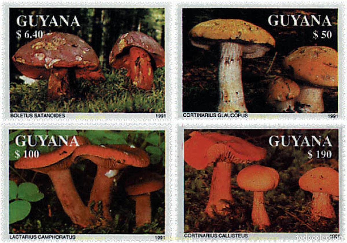 Sellos: 608831 MNH GUYANA 1991 SETAS - Foto 1