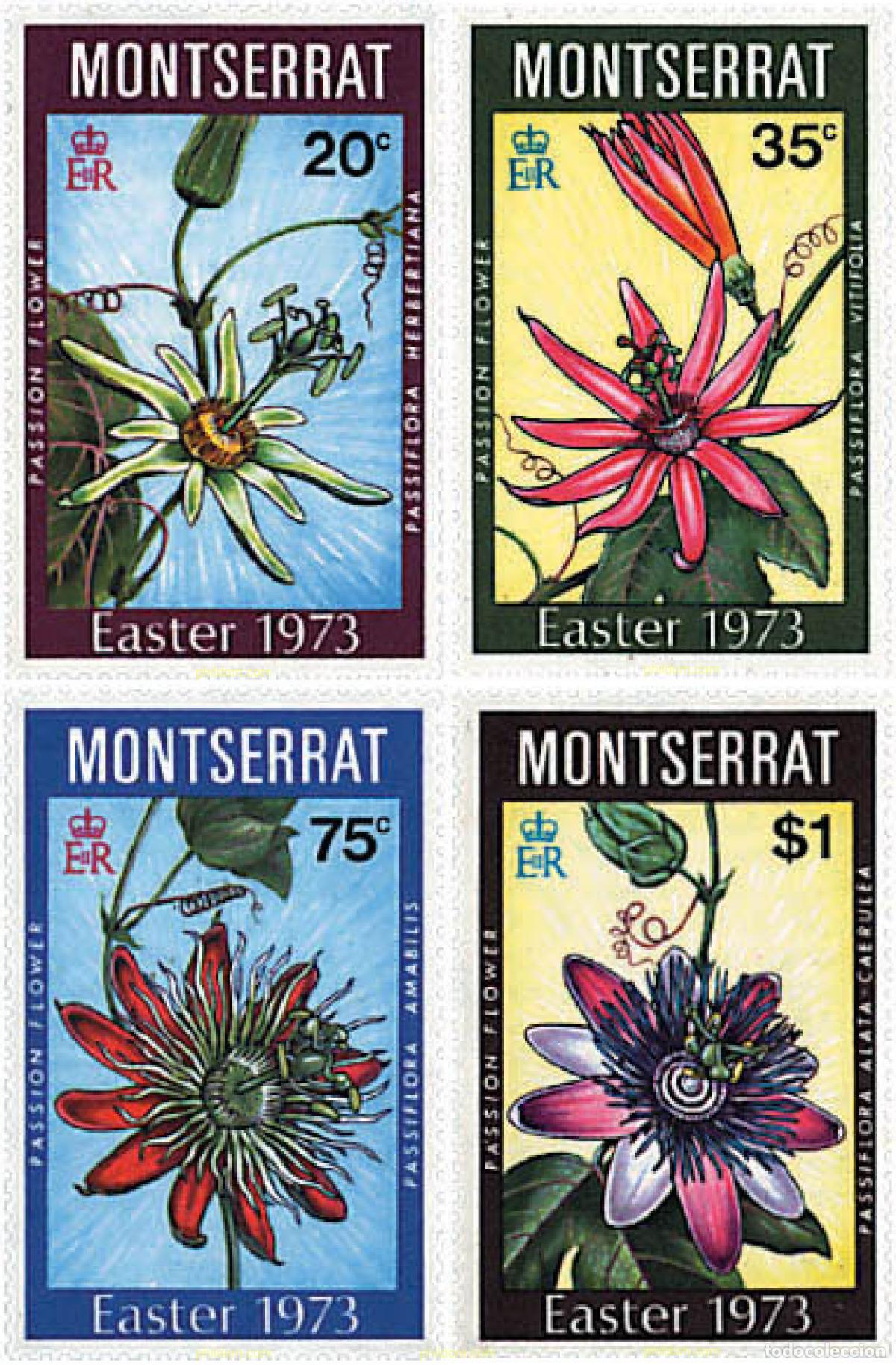 Sellos: 95184 MNH MONTSERRAT 1973 PASCUA. FLORES DE LA PASION