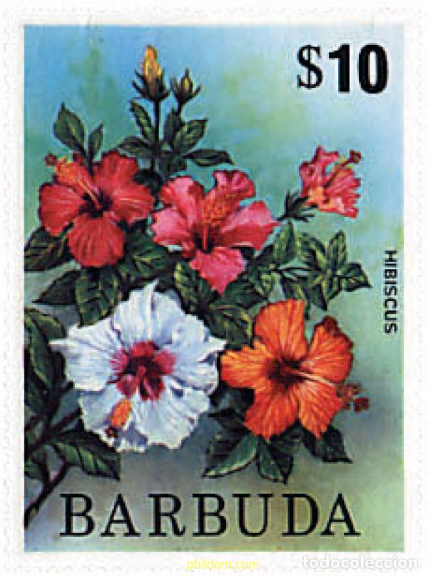 Sellos: 96567 MNH BARBUDA 1975 FLORES - Foto 1