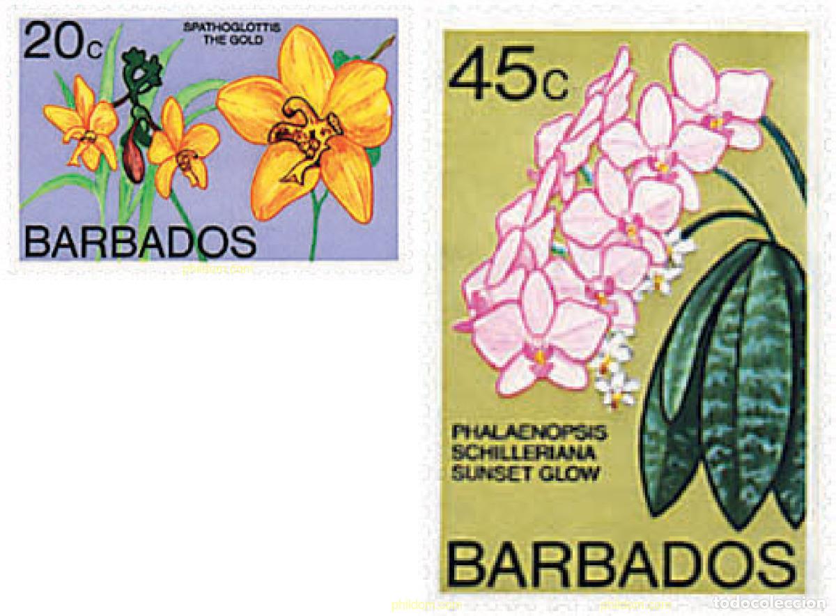 Sellos: 80924 MNH BARBADOS 1977 ORQUIDEAS - Foto 1
