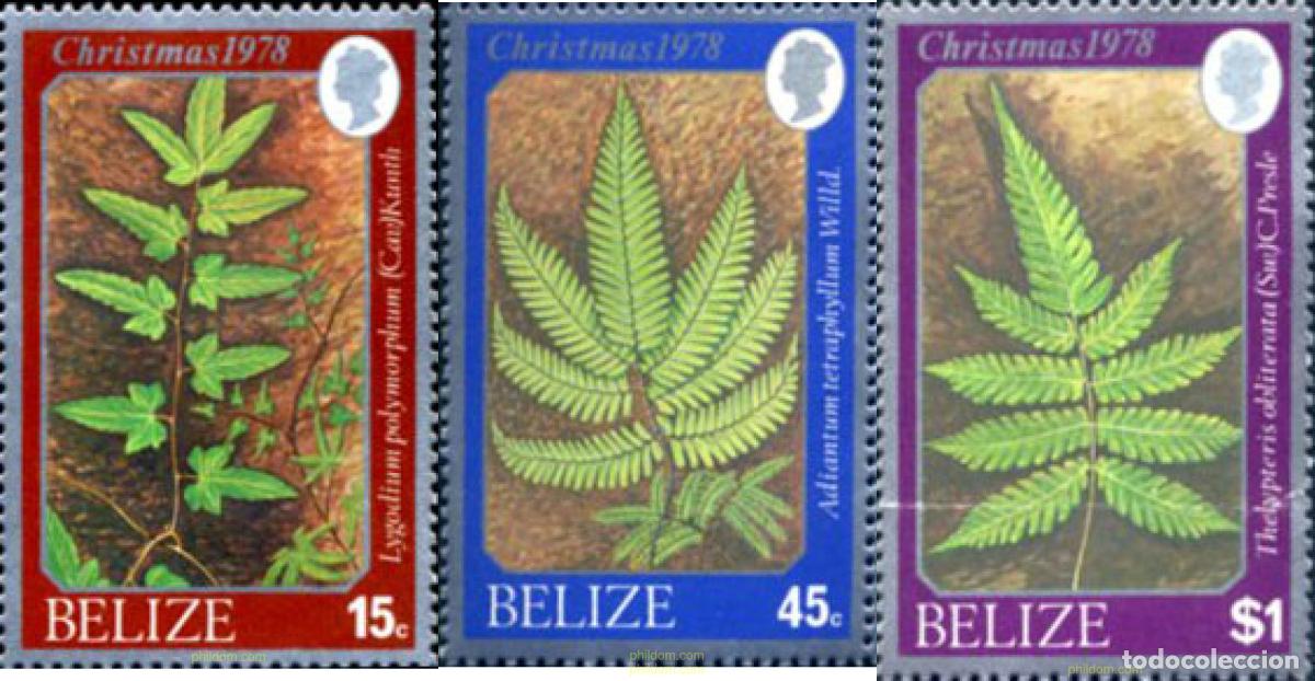 Sellos: 294888 MNH BELIZE 1978 FLORA SILVESTRE