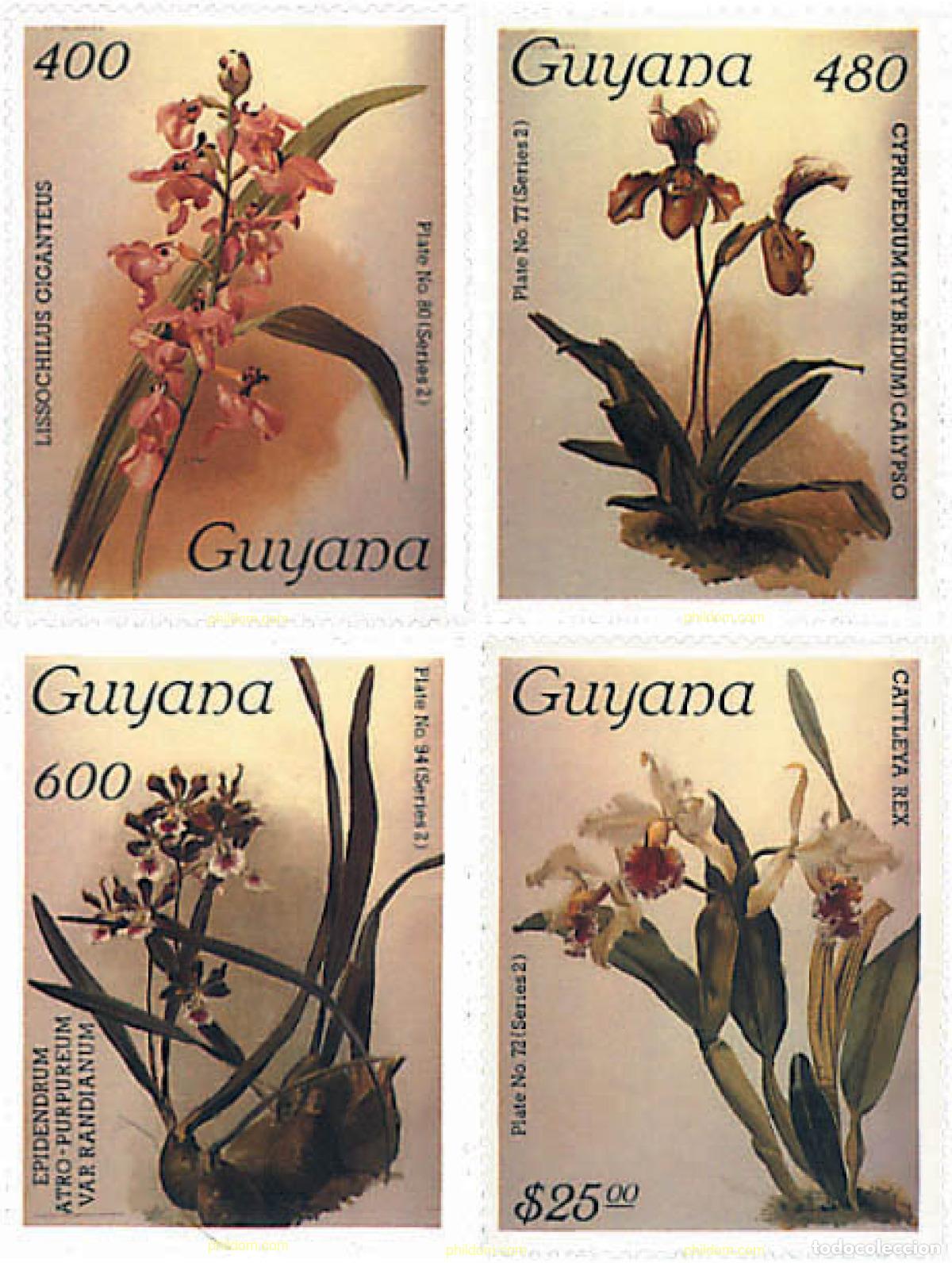 Sellos: 88440 MNH GUYANA 1987 ORQUIDEAS - Foto 1