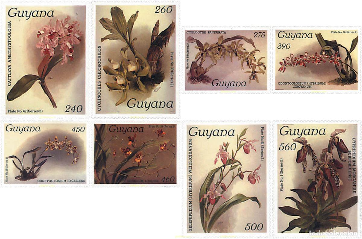 Sellos: 95857 MNH GUYANA 1987 ORQUIDEAS - Foto 1