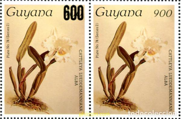 Sellos: 321349 MNH GUYANA 1987 ORQUIDEAS - Foto 1