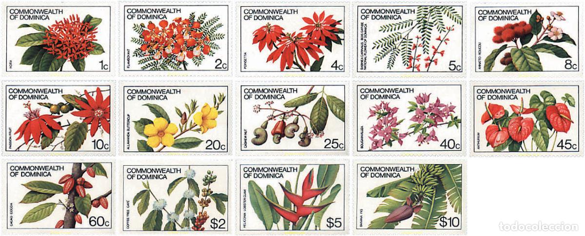 Sellos: 294447 MNH DOMINICA 1981 FLORES DE ARBOLES