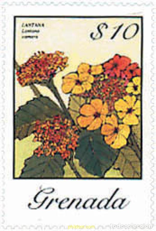 Sellos: 319123 MNH GRANADA 1985 FLORES - Foto 1