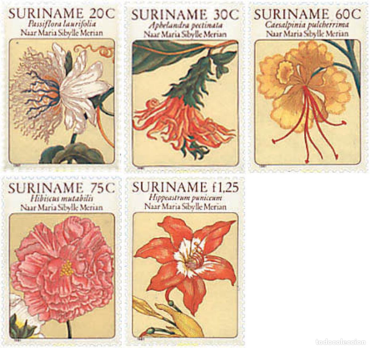 Sellos: 96167 MNH SURINAM 1981 FLORES