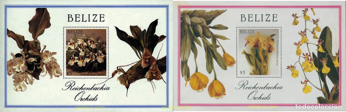 Sellos: 99821 MNH BELIZE 1987 ORQUIDEAS - Foto 1